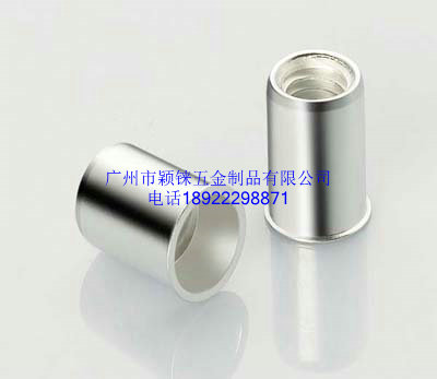 china BSW aluminum small countersunk head rivet nut