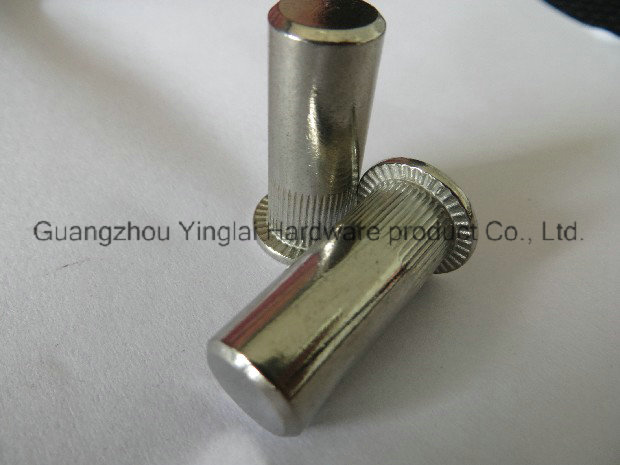 Stainless steel blind rivet nuts M3